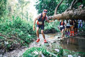 BIB: 
                            <button type="button" onclick="openModal(25464888)" class="btn btn-primary btn-sm float-right btn-popup" data-toggle="modal" data-target=".modal-high-quality">
                        <i class="fas fa-shopping-cart"></i> Add to Cart
                    </button>
                                            <button type="button" onclick="isThisMe(25464888, true)" class="btn btn-success btn-sm float-right btn-popup btn-isme hidden" data-toggle="tooltip" data-placement="bottom" title="นี่คือรูปของคุณใช่ไหม คลิกที่นี่เพื่อเอาเข้าอัลบั้ม">
                        <i class="fas fa-plus"></i> Add to album
                    </button>
                    <button type="button" onclick="isThisMe(25464888, false)" class="btn btn-warning btn-sm float-right btn-popup btn-isnotme hidden">
                        <i class="fas fa-ban"></i> Remove from album
                    </button>